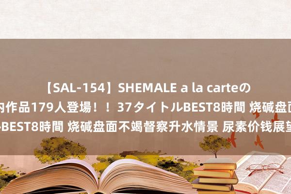 【SAL-154】SHEMALE a la carteの歴史 2 2011～2013 国内作品179人登場！！37タイトルBEST8時間 烧碱盘面不竭督察升水情景 尿素价钱展望先弱后强