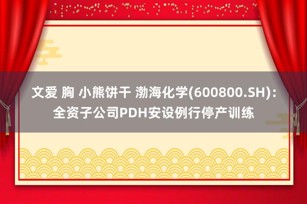 文爱 胸 小熊饼干 渤海化学(600800.SH)：全资子公司PDH安设例行停产训练