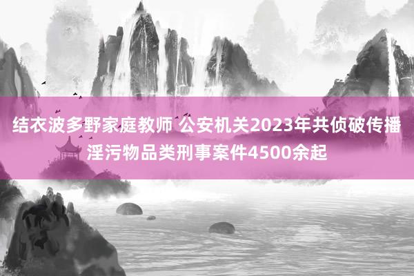 结衣波多野家庭教师 公安机关2023年共侦破传播淫污物品类刑事案件4500余起