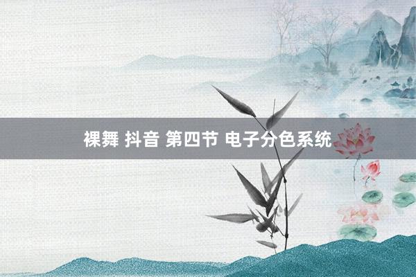 裸舞 抖音 第四节 电子分色系统
