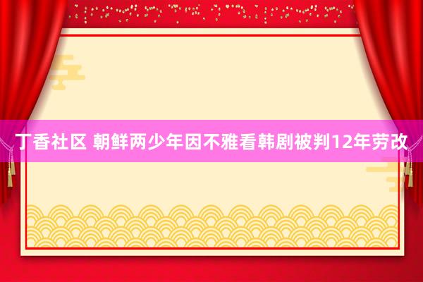 丁香社区 朝鲜两少年因不雅看韩剧被判12年劳改