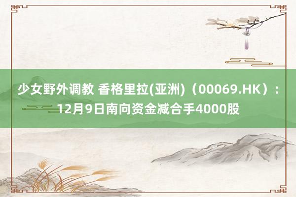 少女野外调教 香格里拉(亚洲)（00069.HK）：12月9日南向资金减合手4000股