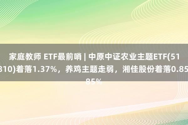 家庭教师 ETF最前哨 | 中原中证农业主题ETF(516810)着落1.37%，养鸡主题走弱，湘佳股份着落0.85%
