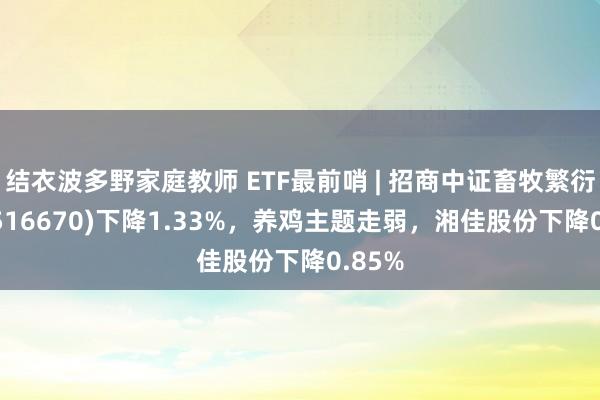结衣波多野家庭教师 ETF最前哨 | 招商中证畜牧繁衍ETF(516670)下降1.33%，养鸡主题走弱，湘佳股份下降0.85%