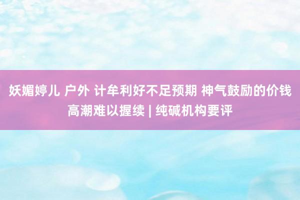 妖媚婷儿 户外 计牟利好不足预期 神气鼓励的价钱高潮难以握续 | 纯碱机构要评