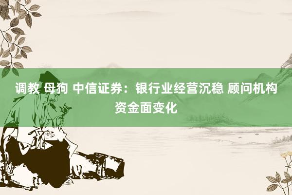 调教 母狗 中信证券：银行业经营沉稳 顾问机构资金面变化