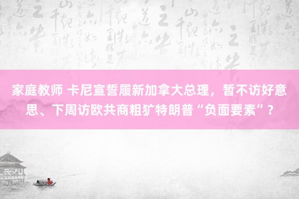 家庭教师 卡尼宣誓履新加拿大总理，暂不访好意思、下周访欧共商粗犷特朗普“负面要素”？