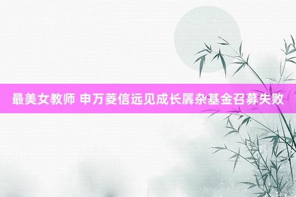 最美女教师 申万菱信远见成长羼杂基金召募失败