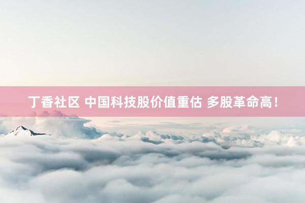 丁香社区 中国科技股价值重估 多股革命高！