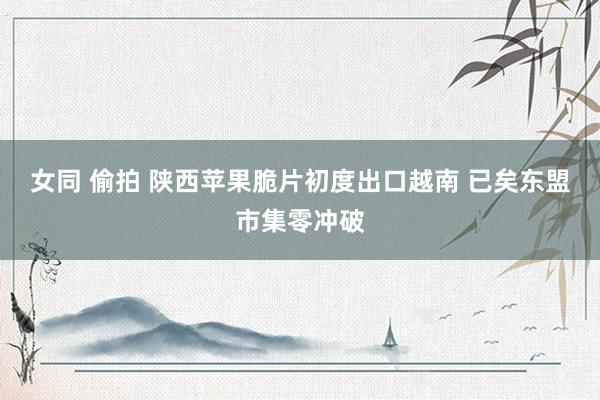 女同 偷拍 陕西苹果脆片初度出口越南 已矣东盟市集零冲破